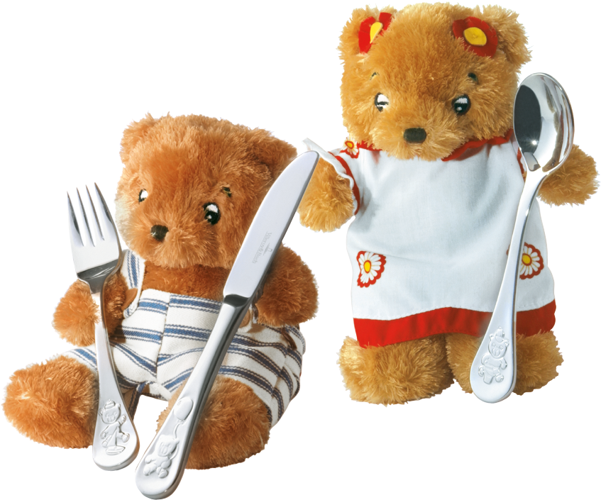 Teddy category icon/image