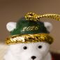 Preview: 1486754362-Christmas-Classics-Teddy-Bear-Ornament-2026