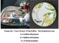 Preview: 1035144016 Amazonia-Form Anmut, Kaffee-Set, 6 Personen