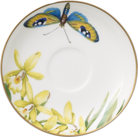 1035141432-Amazonia-Mokka-Espressountertasse