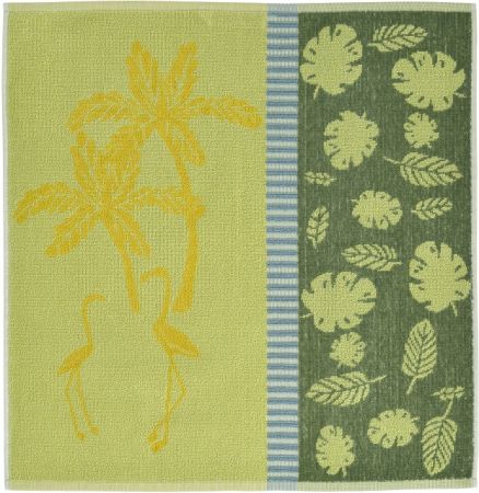 11129415 Sander-Palmtree Küchentuch