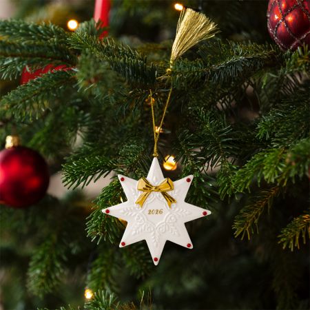 1486754365-Christmas-Classics-Ornament-Stern-2026