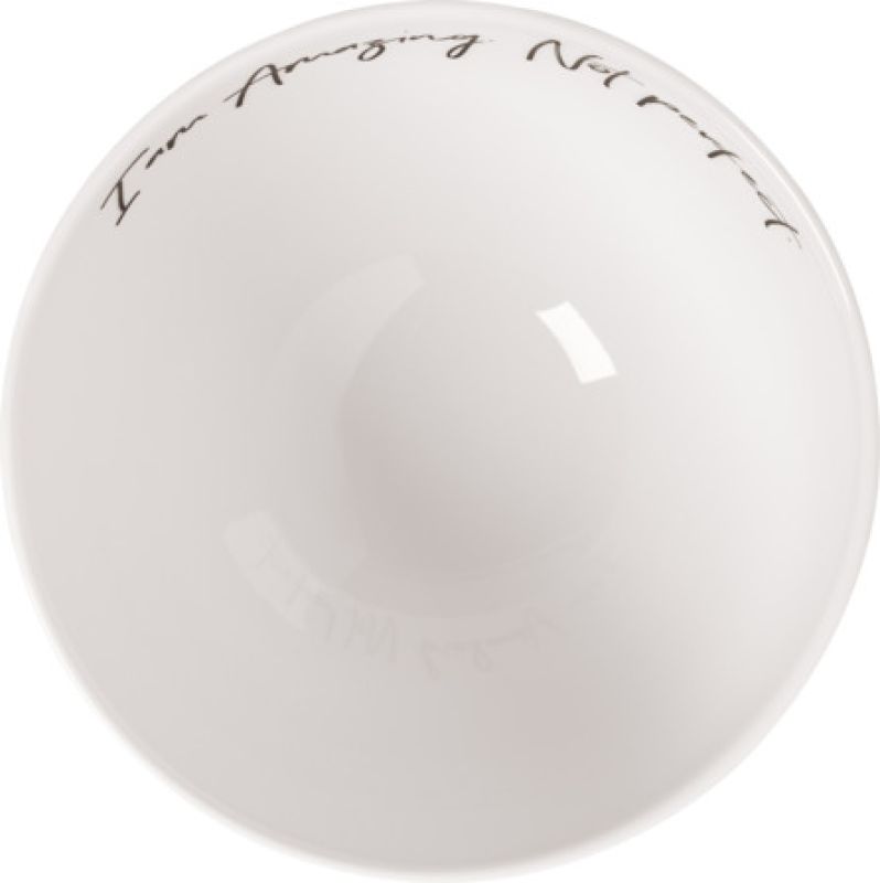 1016216253-Villeroy-Boch-Statement-Amazing-not-perfect-Bol-470ml-Draufsicht.jpg
