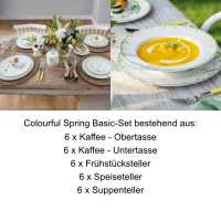 Villeroy & Boch, Colourful Spring, Basic-Set 6 Pers.